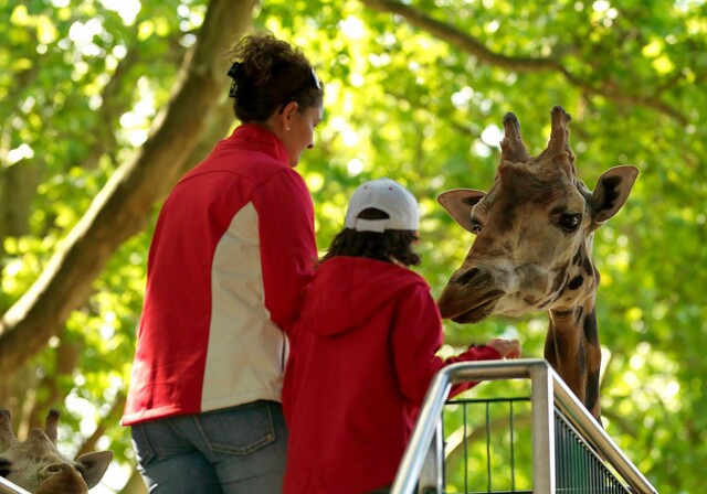 Hagenbeck Tierpark